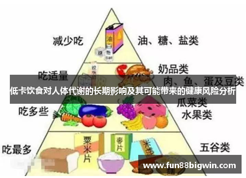 低卡饮食对人体代谢的长期影响及其可能带来的健康风险分析