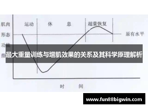 最大重量训练与增肌效果的关系及其科学原理解析